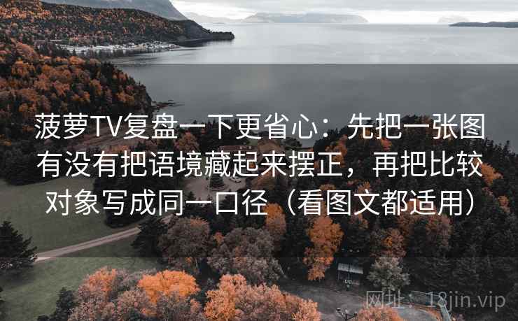菠萝TV复盘一下更省心：先把一张图有没有把语境藏起来摆正，再把比较对象写成同一口径（看图文都适用）